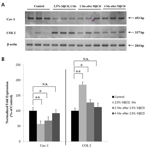 fig7