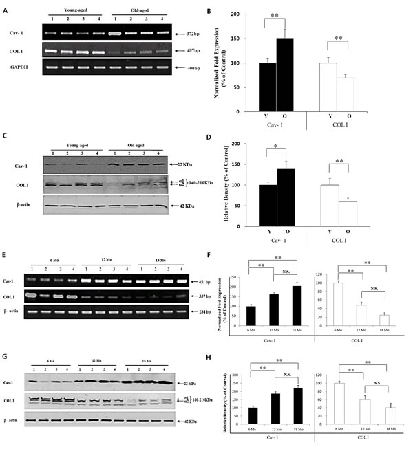 fig1