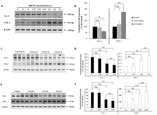 fig3
