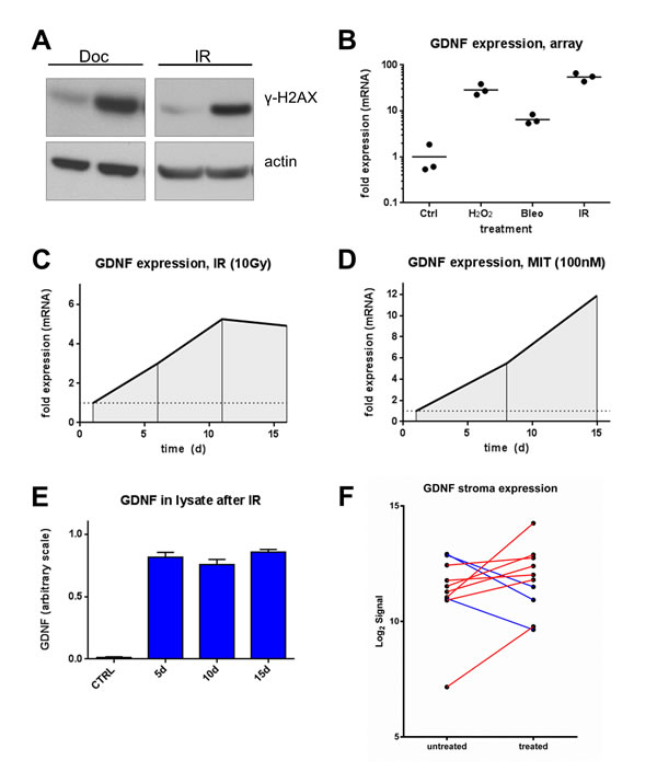 fig1