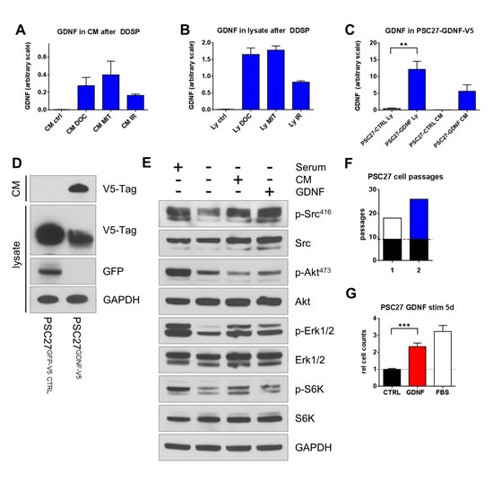 fig2