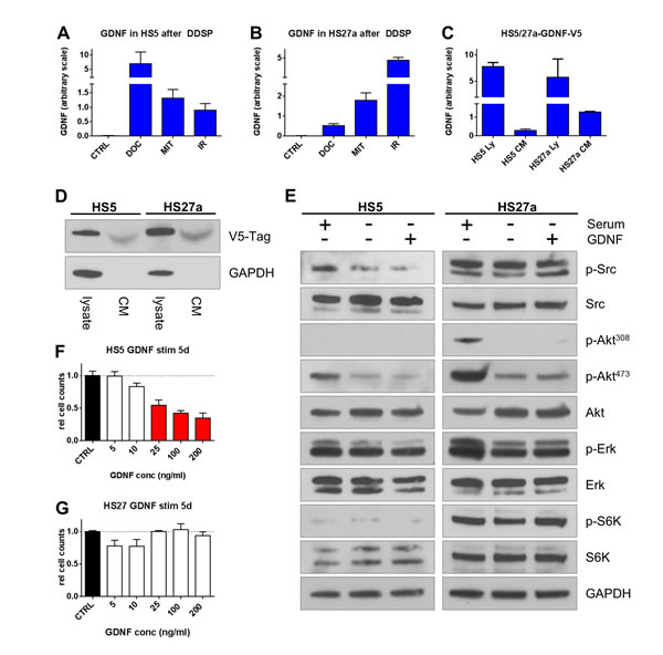 fig3