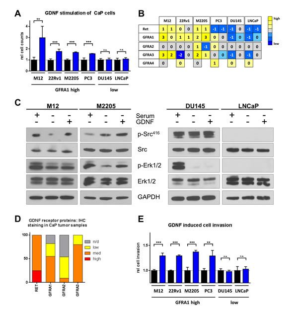 fig4
