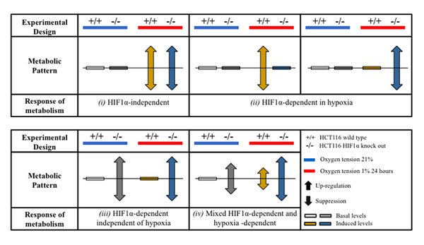 fig2