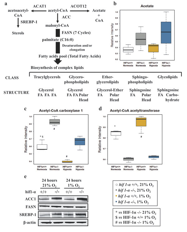 fig3