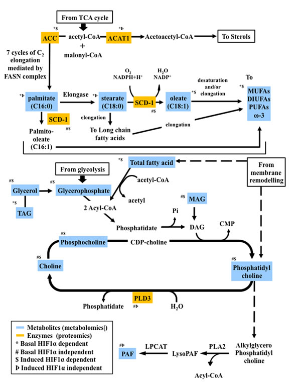 fig8
