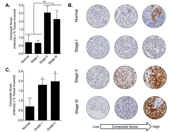 fig3