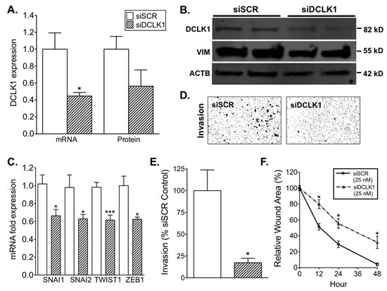 fig4