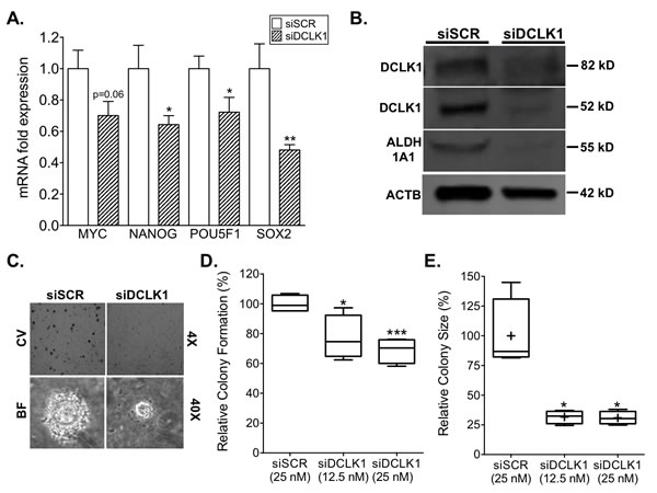 fig6