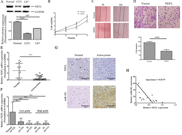 fig3