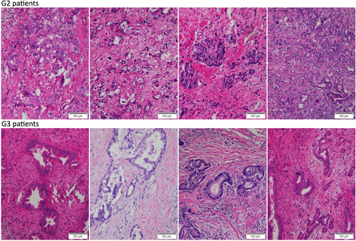 fig10