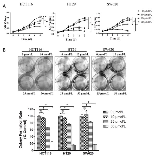 fig1
