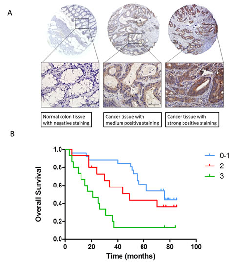 fig6