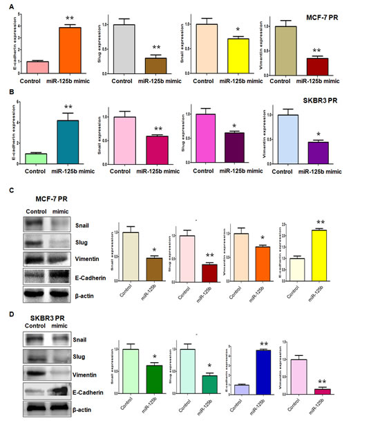 fig3