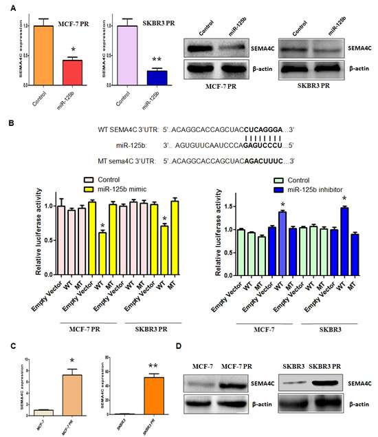 fig4
