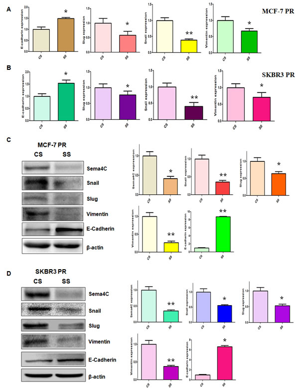 fig6