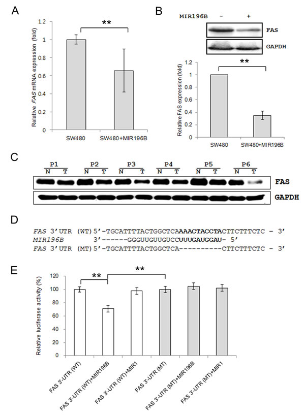 fig2