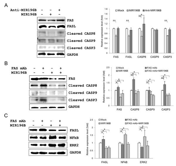 fig3