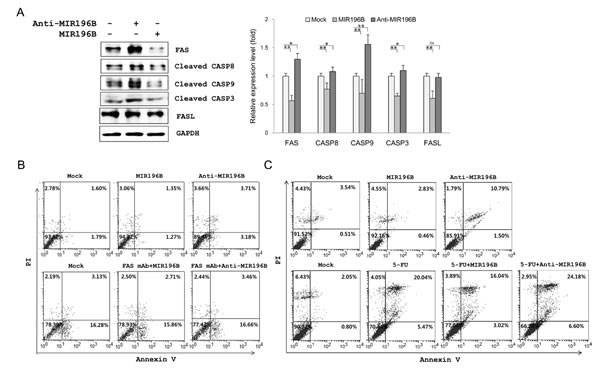 fig4