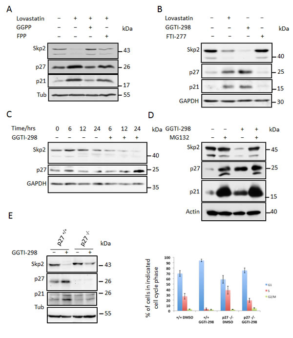 fig3