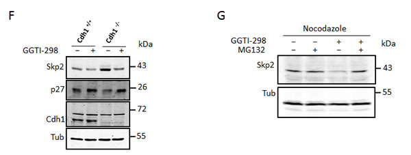 fig3a