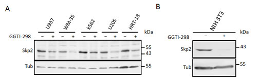 fig4