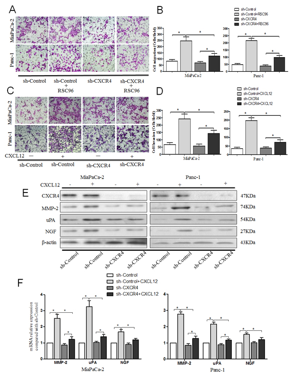 fig3