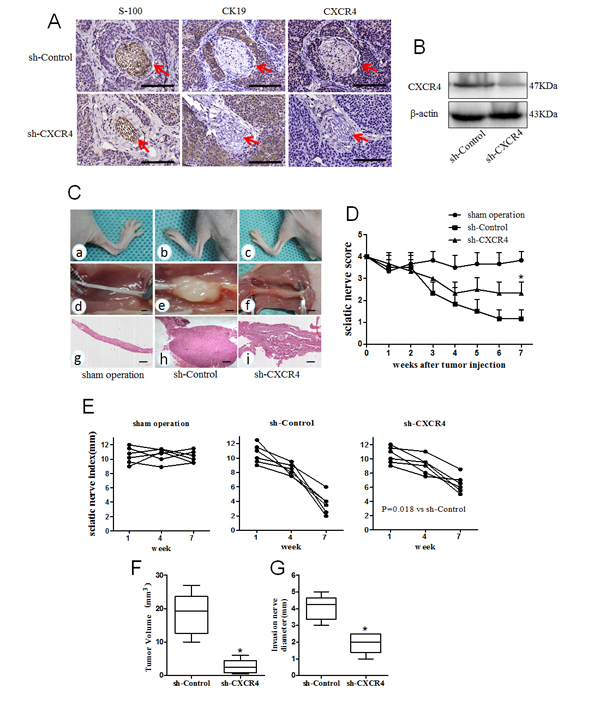 fig6