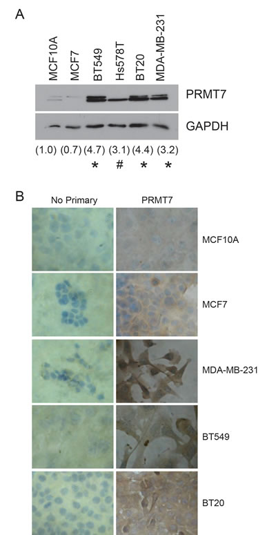 fig2