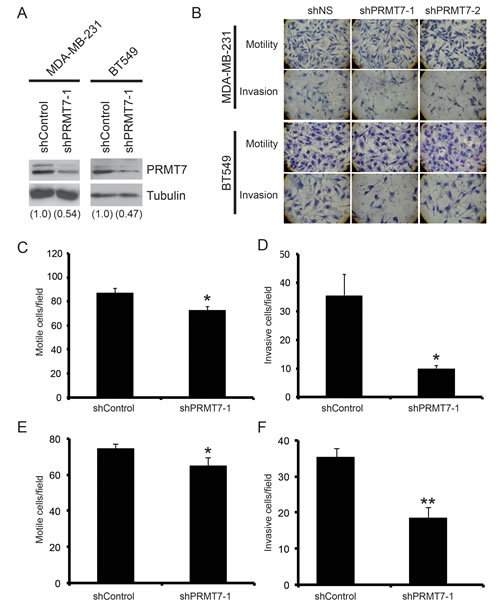 fig3