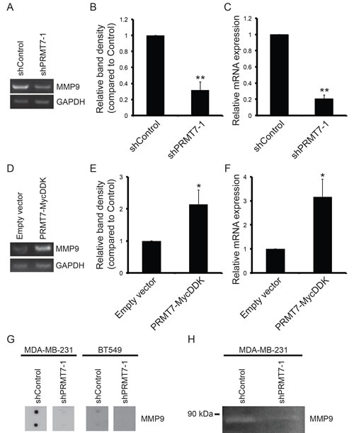fig6