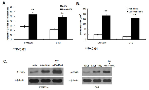 fig3