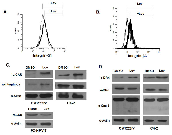 fig6a
