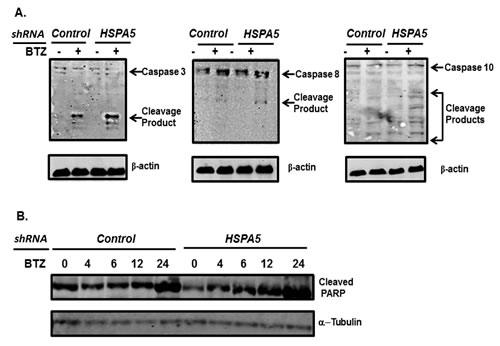 fig6