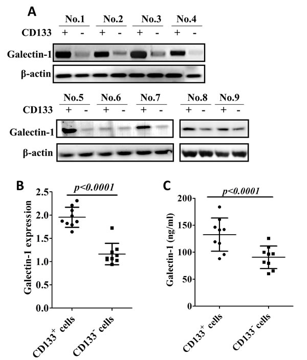 fig2