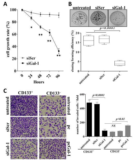 fig4