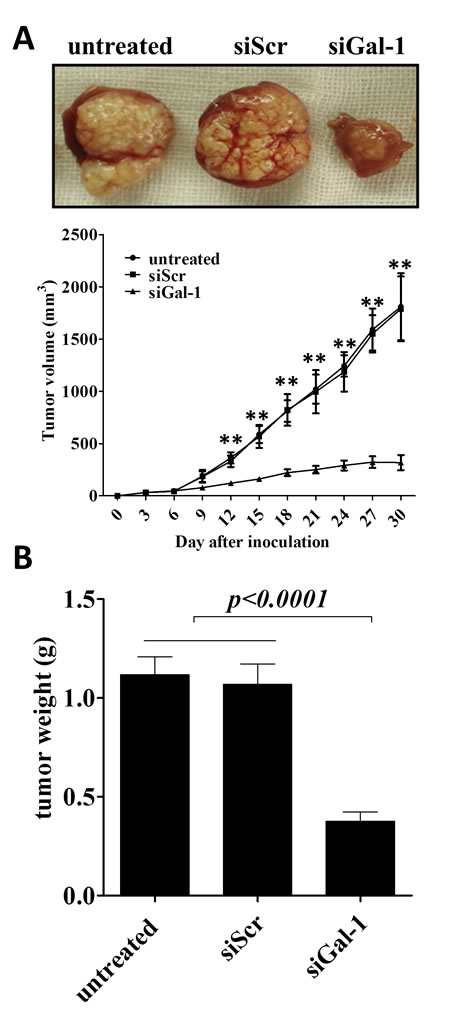 fig5