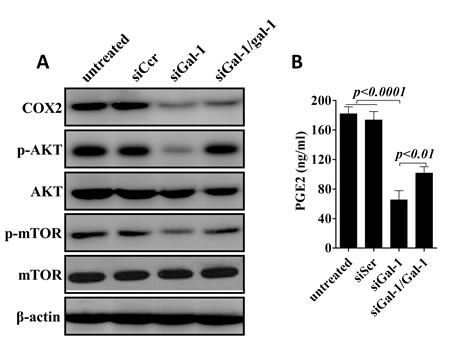 fig6
