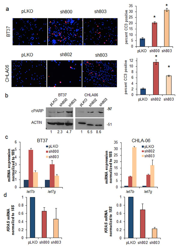 fig4