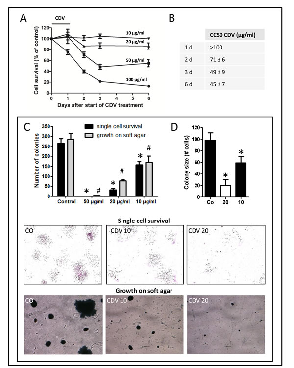 fig1