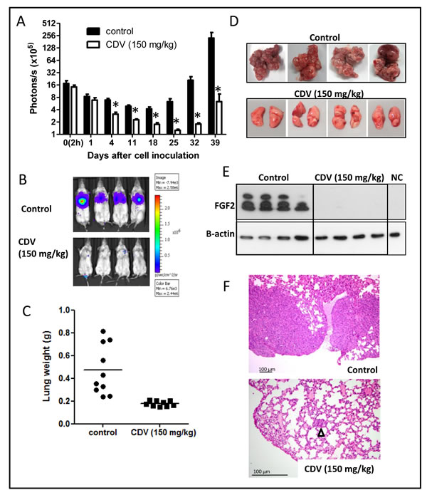 fig3