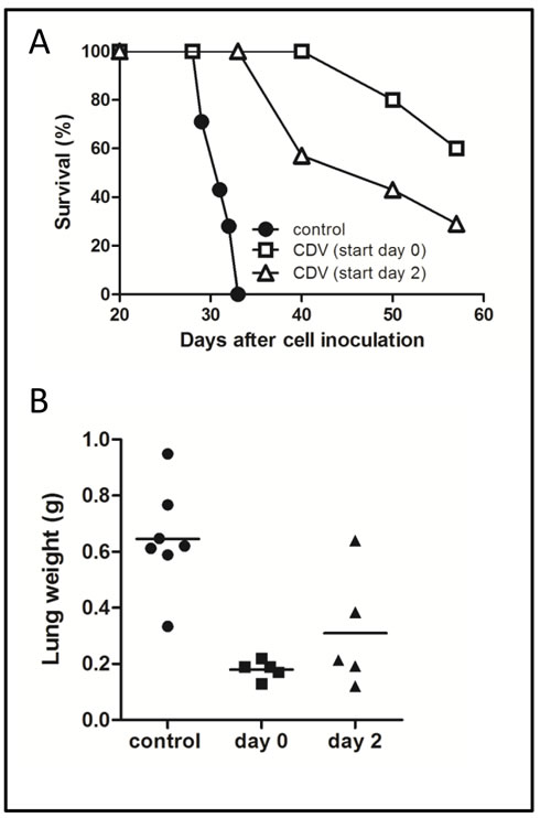 fig4