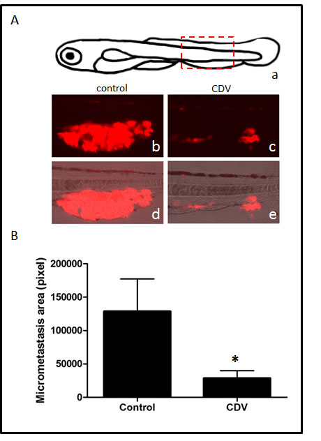fig6