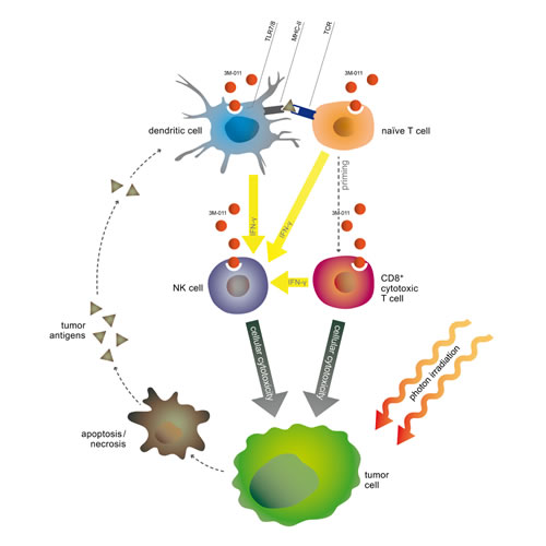 fig1