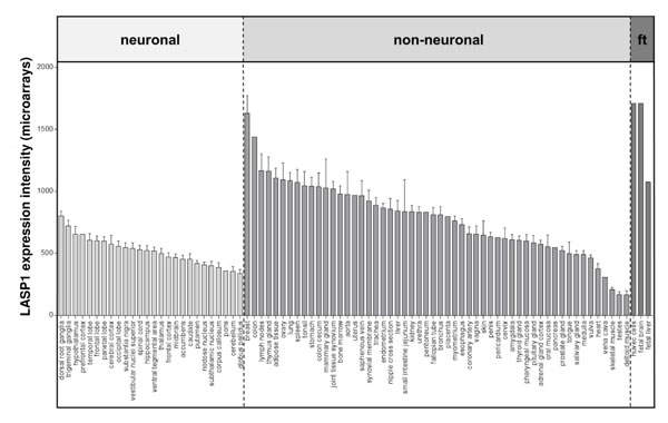 fig2
