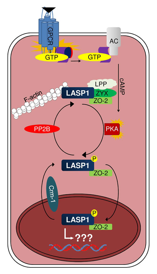 fig5