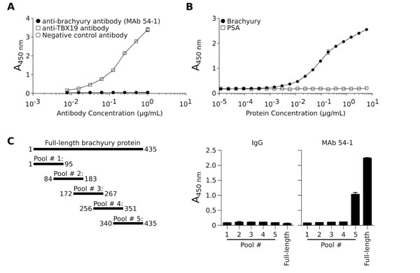 fig2