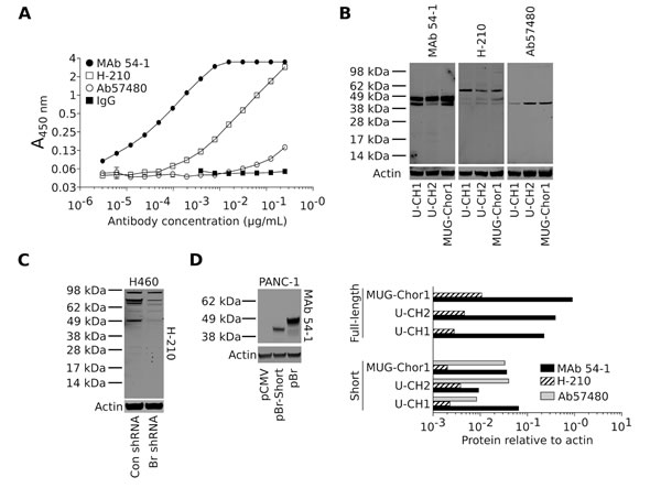 fig3