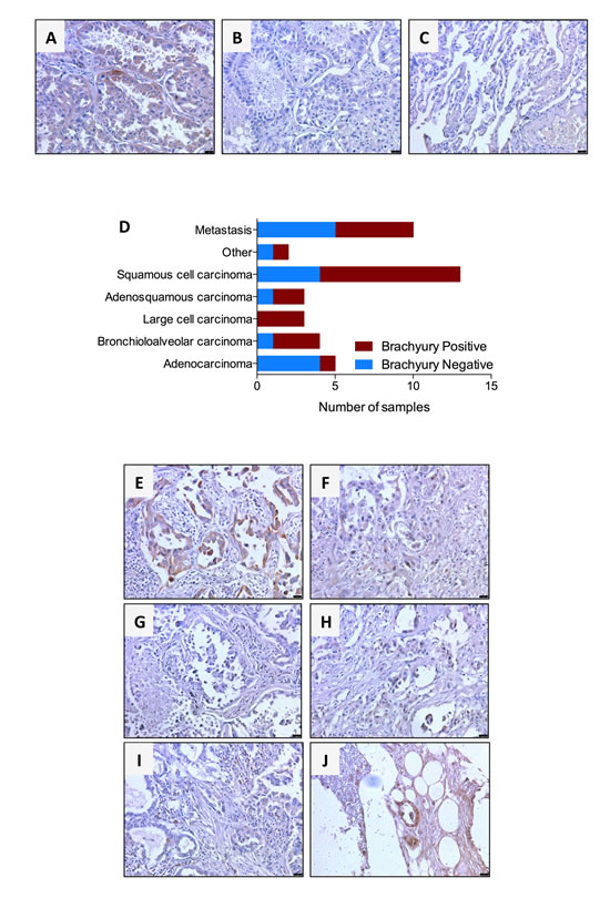fig4