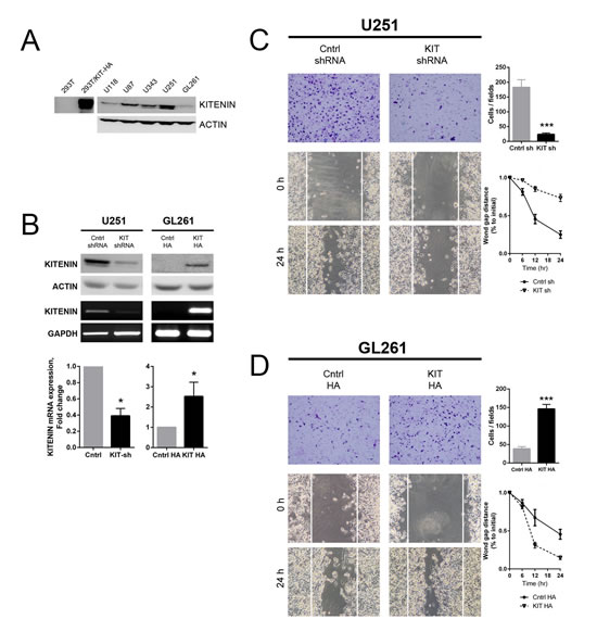 FIG2